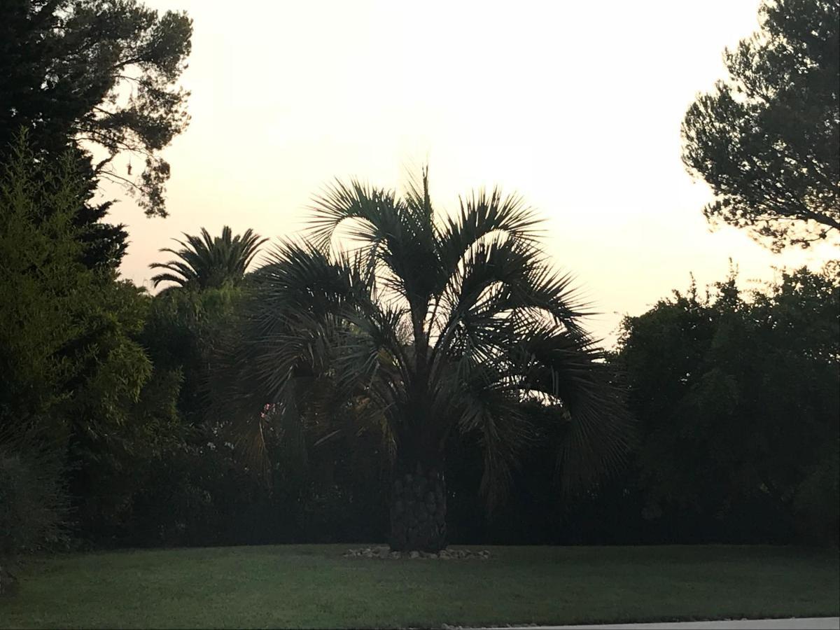 Villa Belle A Raphael Dans Clos Prive