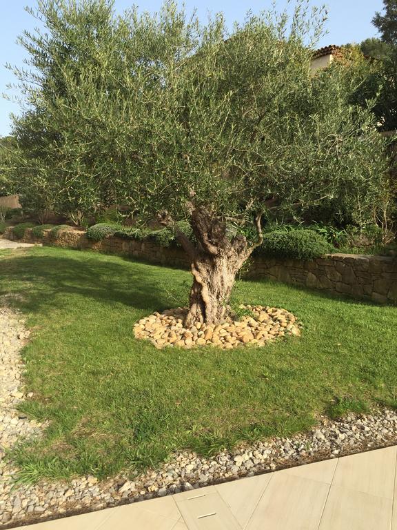 Villa Belle A Raphael Dans Clos Prive